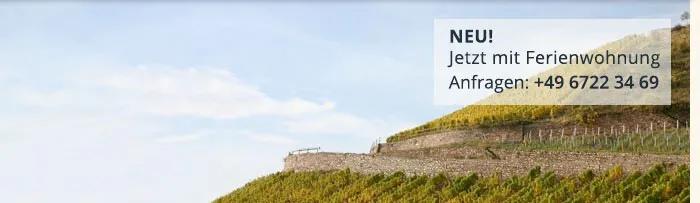 Weinberge in Rüdesheim, Rheingau